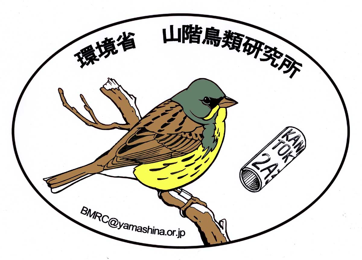 鳥類標識調査 -BirdBanding-