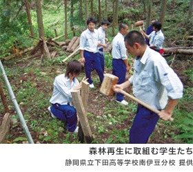 写真：森林再生に取組む学生たち（静岡県立下田高等学校南伊豆分校 提供）