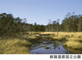 写真：釧路湿原国立公園