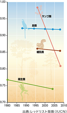 グラフ：出典:レッドリスト指数（IUCN）