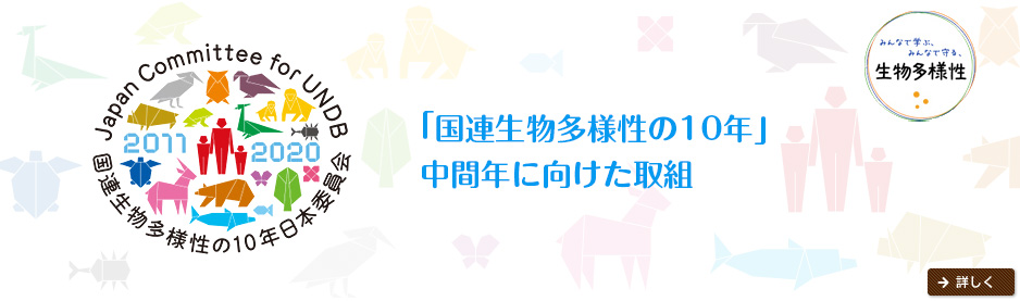 多様性 (たようせい) JapaneseEnglish Dictionary JapaneseClass.jp