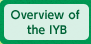 Overview of the IYB
