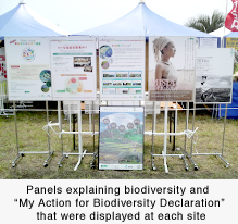 Panels explaining biodiversity and "My Action for Biodiversity Declaration" that were displayed at each site