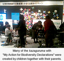 Many of the kazaguruma with "My Action for Biodiversity Declarations" were created by children together with their parents.