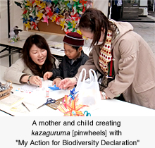 A mother and child creating kazaguruma [pinwheels] with "My Action for Biodiversity Declaration"