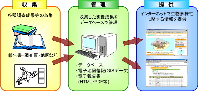 情報の収集・管理・提供の流れ
