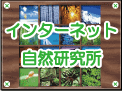�C���^�[�l�b�g���R������