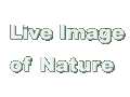 Internet Nature Institute