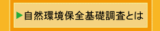 ���R���ۑS��b�����Ƃ�