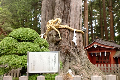 Biodiversity Center of Japan