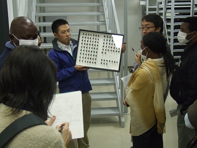 Biodiversity Center of Japan