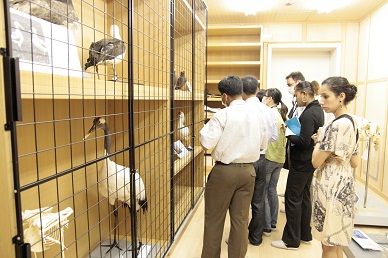 Biodiversity Center of Japan