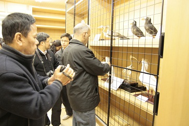 Biodiversity Center of Japan