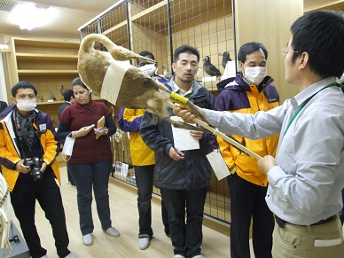 Biodiversity Center of Japan