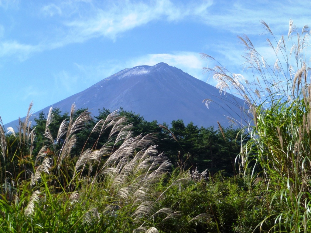 Biodiversity Center of Japan