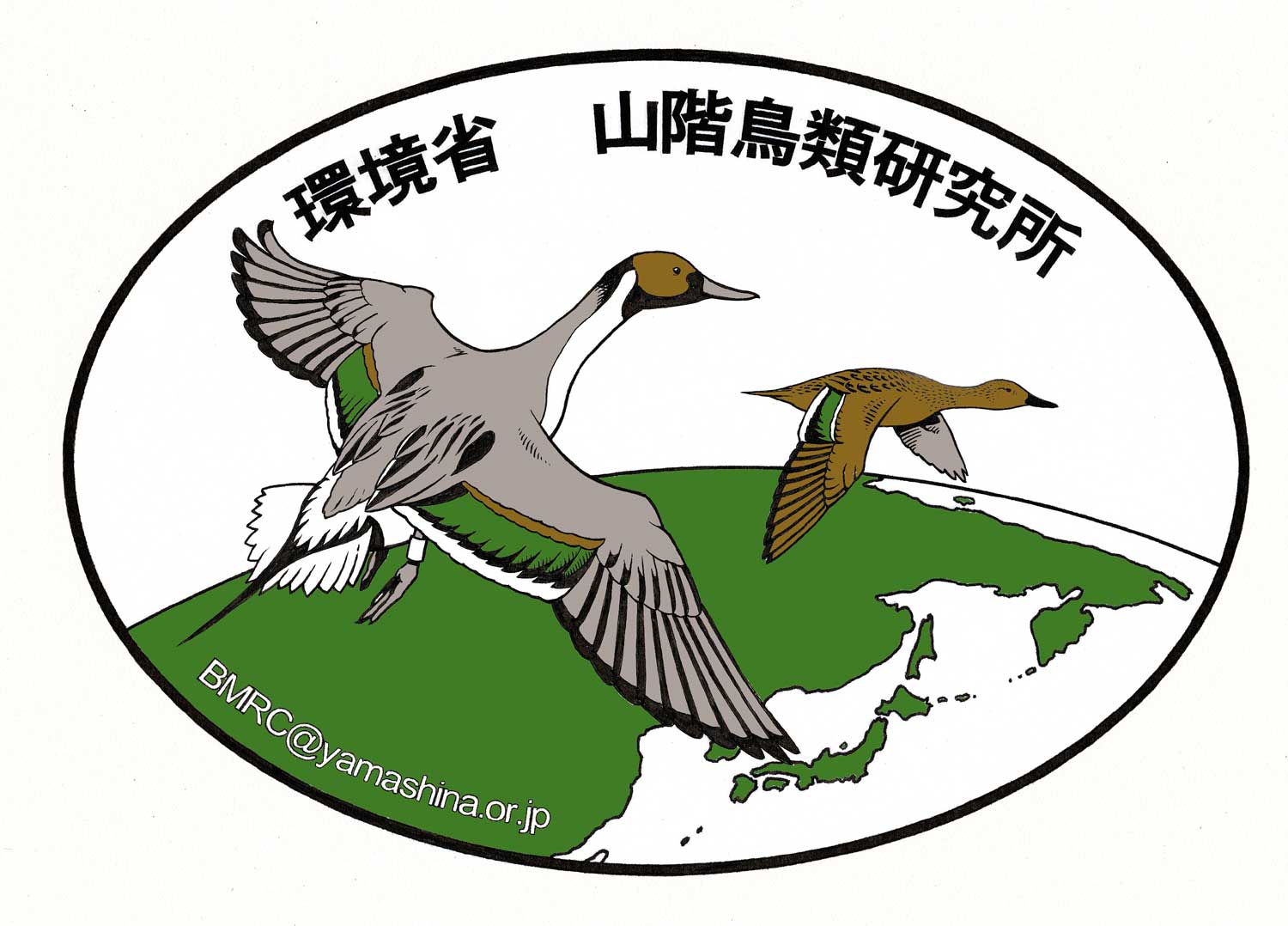 鳥類標識調査 -BirdBanding-