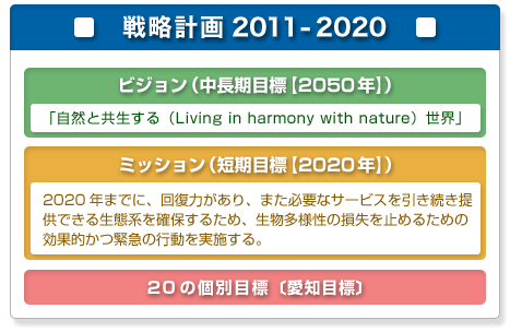 戦略計画2011-2020のビジョンとミッション