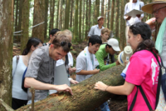 エクスカーションの様子1　里山林　シイ林