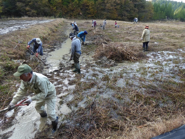 希少野生生物保全活動