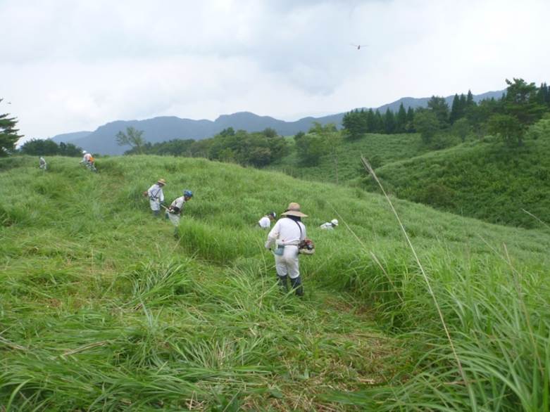 ススキ草原手刈り作業