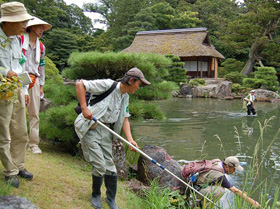 桂離宮での生物調査