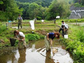 「生き物の里」生物生息調査