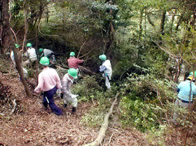 里山保全活動