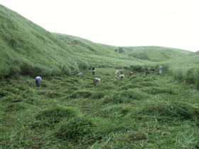 阿蘇草原の維持管理