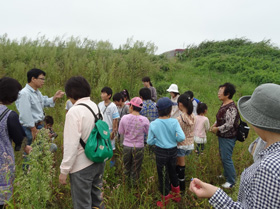 渡良瀬遊水地 第２調節池での植物観察会「ラムサールジュニアわたらせ遊水地を学ぼう」