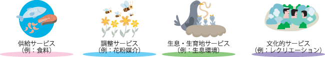 生物多様性と生態系サービス 生物多様性と生態系サービスの経済的価値の評価