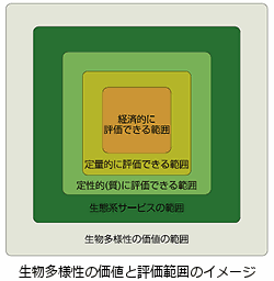 生物多様性の価値と評価範囲のイメージ