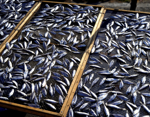 食糧供給のイメージ(天日干しされる魚)