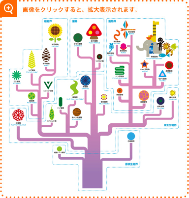 生きものの進化と生物多様性