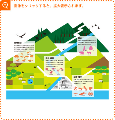 日本の自然環境と生きもののつながり 生物多様性 Biodiversity