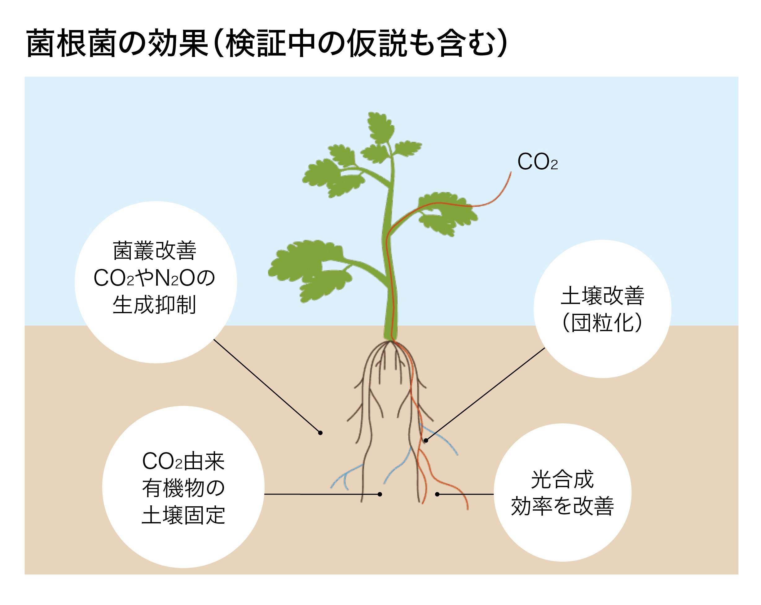 会社イメージ画像