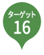 pin_16