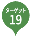 pin_19