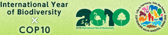 International Year of Biodiversity × COP10