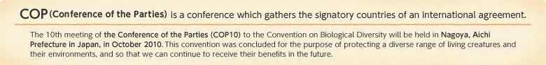 COP(Conference of the Parties) is a conference which gathers the signatory countries of an international agreement.
The 10th meeting of the Conference of the Parties (COP10) to the United Nations Convention on Biological Diversity will be held in Nagoya in Japan?s Aichi Prefecture in October 2010.This convention was concluded for the purpose of protecting a diverse range of living creatures and their environments, and so that we can continue to receive their benefits in the future.