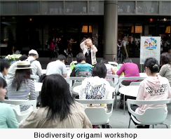 Biodiversity origami workshop