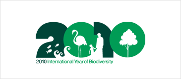 International Year of Biodiversity:Logo