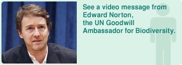 See a video message from Edward Norton, the UN Goodwill Ambassador for Biodiversity.