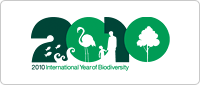 2010 International Year of Biodiversity:Logo