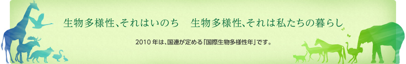 生物多様性、それはいのち 生物多様性、それは私たちの暮らし 2010年は、国連が定める「国際生物多様性年」です。