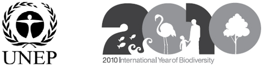 国際生物多様性年ロゴ：他のロゴとの関係2