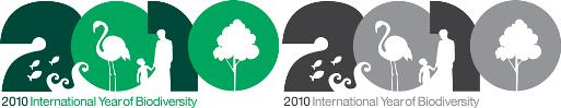 国際生物多様性年ロゴ：注意事項1
