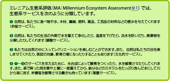 ミレニアム生態系評価（MA：Millennium Ecosystem Assessment※1） では、生態系サービスを次のように分類しています。※1 Millennium Ecosystem Assessment: 国連の主唱により平成13 （2001） 年から平成17 （2005） 年にかけて行われた、地球規模の生態系に関するはじめての総合的評価。95 ヵ国から1,360 人の専門家が参加し、生態系が提供するサービスに着目して、それが人間の豊かな暮らしにどのように関係しているか、生物多様性の損失がどのような影響を及ぼすかを明らかにした。