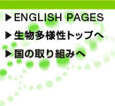 整備された森林（安城市提供）