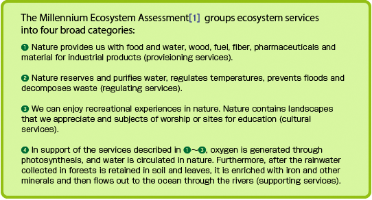 The Millennium Ecosystem Assessment groups ecosystem services into four broad categories: [1] The Millennium Ecosystem Assessment was launched in 2001 with support from the UN. The first comprehensive assessment on ecosystems at a global level, it was conducted from 2001 through 2005. The project involved 1,360 experts from 95 countries, focusing on the services provided by ecosystems and revealed how they relate to human well-being and what impacts biodiversity loss would impose.
