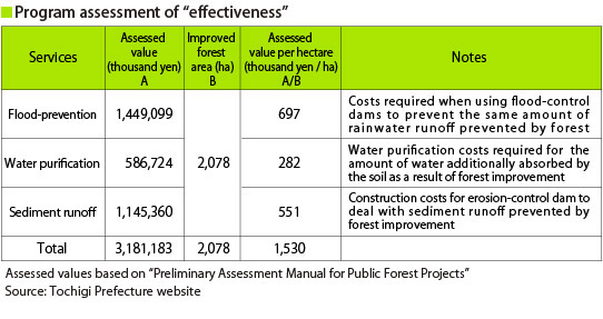 Program assessment of "effectiveness"